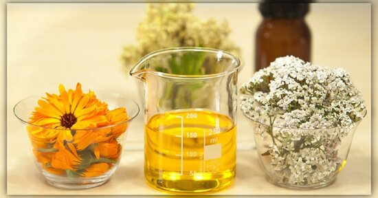 Achillea: scopri le proprietà dell’infuso