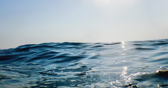 Acqua di Quinton, il siero della vita