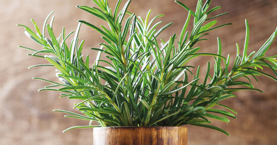 Acque aromatiche per la pelle