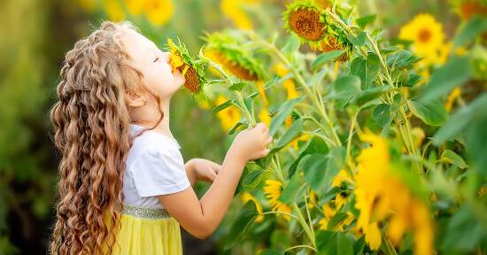 ADHD – Risposte a una piaga moderna in un mondo pieno di stress