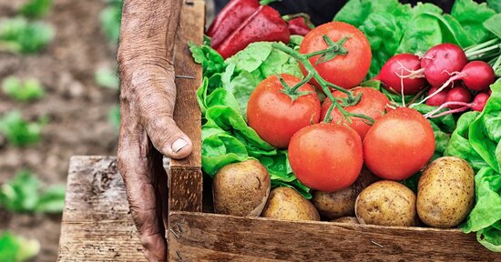 Agricoltura biodinamica: qualità superiore, senza compromessi