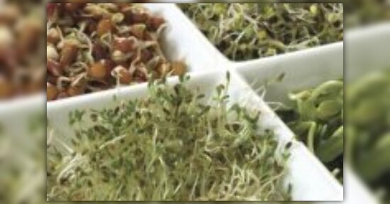 In cucina con i germogli: ecco 3 ricette!