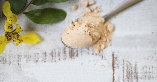 Alimenti fantastici e dove trovarli: la Mesquite