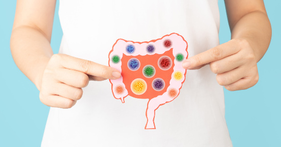 Alla radice del benessere: intestino, microbiota e immunità