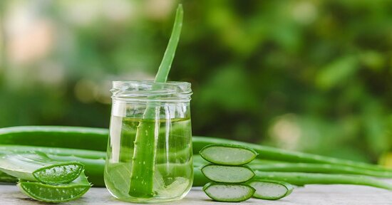ALOE: ecco perché viene definita la guaritrice silenziosa