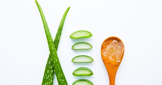 Aloe: i segreti della guaritrice silenziosa