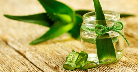 Aloe: la pianta che rinforza microbiota e sistema immunitario