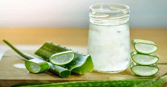 Aloe Vera. I Benefici della pianta sacra degli Egizi