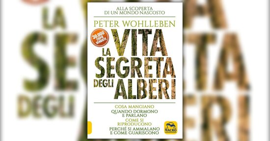 Amore - Estratto da "La Vita Segreta degli Alberi" libro di Peter Wohlleben