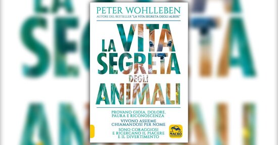 Amore materno - Estratto da "La Vita Segreta degli Animali"