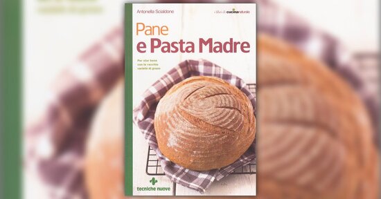 Andiamo a mietere il grano - Estratto dal libro "Pane e Pasta Madre"