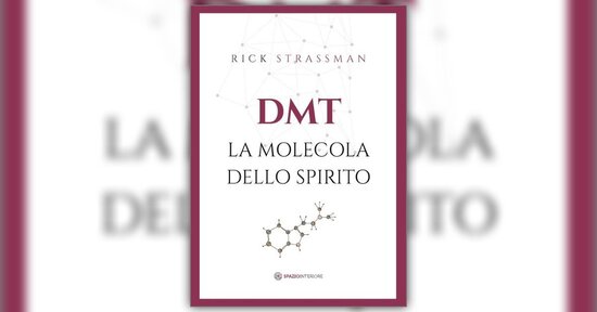 Anteprima di "DMT - La Molecola dello Spirito"