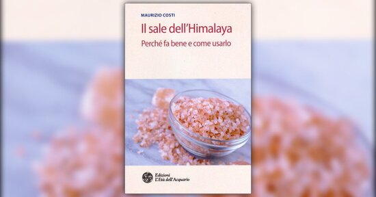 Anteprima Il Sale dell'Himalaya LIBRO di Maurizio Costi