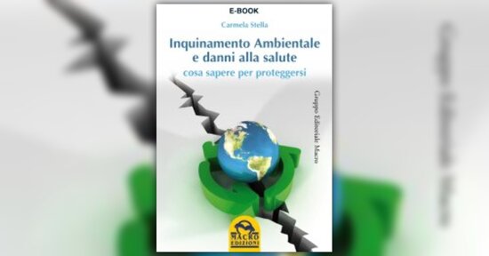 Anteprima Inquinamento Ambientale e i Danni alla Salute Ebook di Carmela Stella
