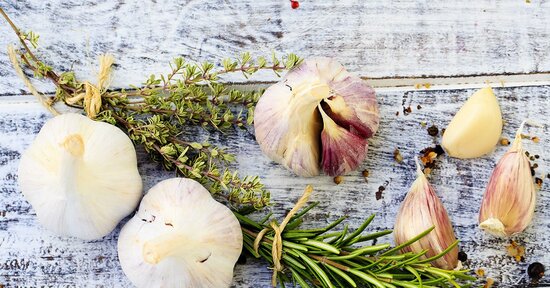 Antibiotici naturali: gli amici dell’organismo