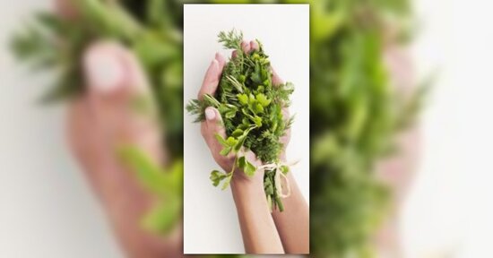 Antico Erbario Ayurvedico - L'anima delle Piante