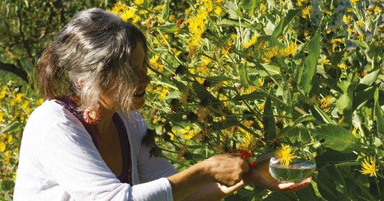 Armonia: trovala con Fiori e Alberi