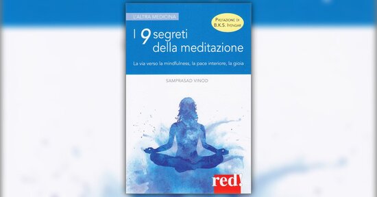 Avere un'ampia visione - Estratto dal libro "I 9 Segreti della Meditazione"
