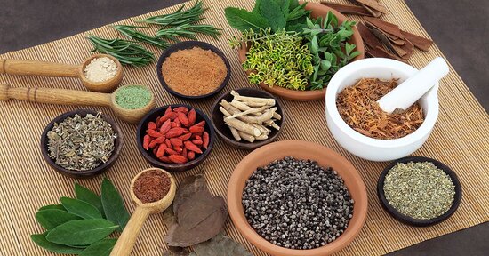 Ayurveda-vet: curare i nostri animali secondo la medicina indiana
