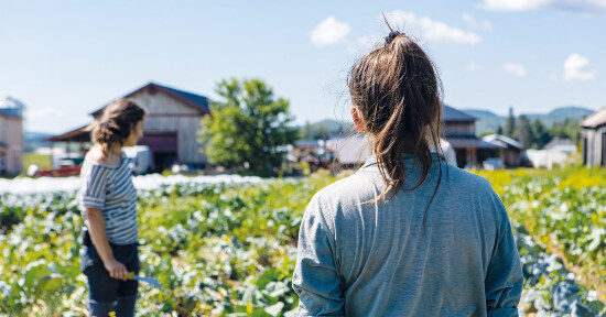 4 aziende agricole bio che producono prodotti eccellenti