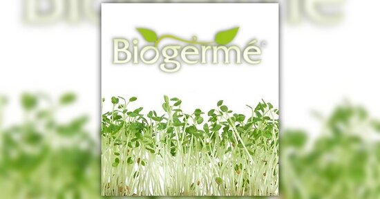 Biogermé: super alimenti ricavati dai germogli