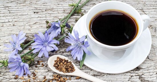 Benefici e utilizzo del caffè di cicoria