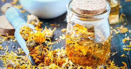 Calendula: proprietà ed utilizzo sotto forma di crema, tintura madre, o tisana