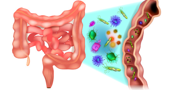 Cambio stagionale e intestino: l’importanza della prevenzione
