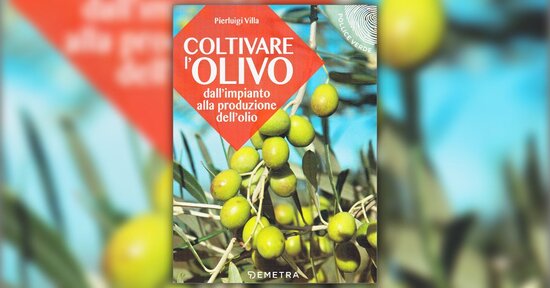 Caratteristiche generali - Estratto da "Coltivare l'Olivo"