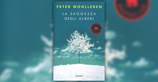 Cercasi interprete - Estratto dal libro "La Saggezza degli Alberi"
