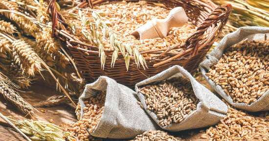 Cereali e svezzamento: con quali cominciare?