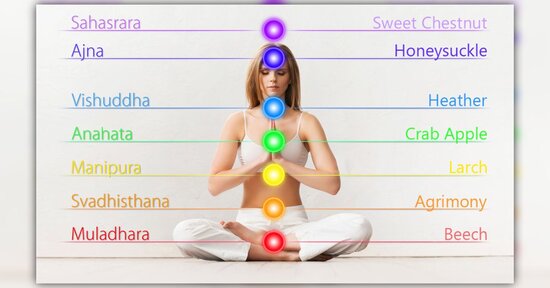 Chakra e fiori di Bach