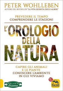 Che tempo farà? - Estratto dal libro "L'Orologio della Natura" di Peter Wohlleben