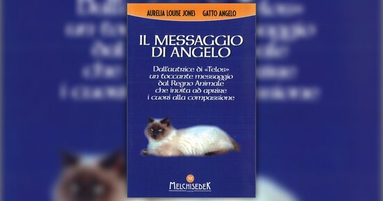 Chi sono - Estratto da "Il Messaggio di Angelo"
