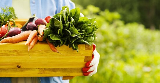 Cibo naturale o artificiale?