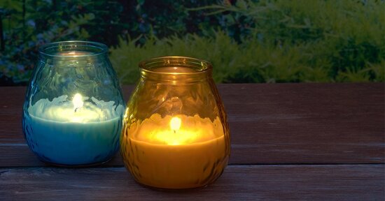 Citronella: la pianta dell’estate