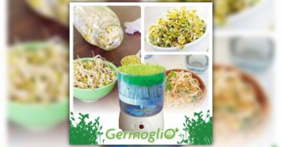 Come coltivare in casa i germogli di broccolo e di erba di grano