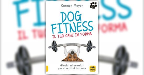 Come praticare gli esercizi - Estratto da "Dog Fitness"