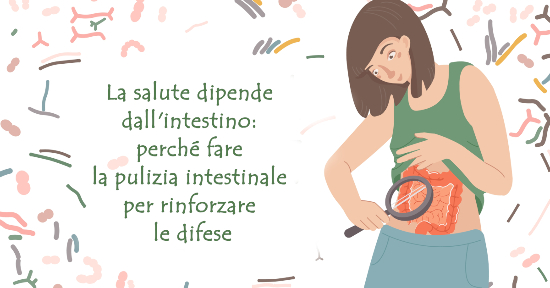 Come rafforzare il sistema immunitario dell'intestino?