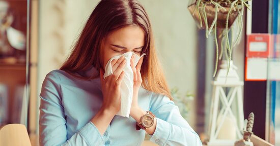 Come rinforzare il sistema immunitario: 6 piante efficaci