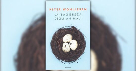 Come un puzzle - Estratto da "La Saggezza degli Animali"