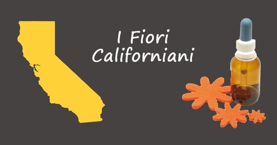 Conosci i fiori californiani?