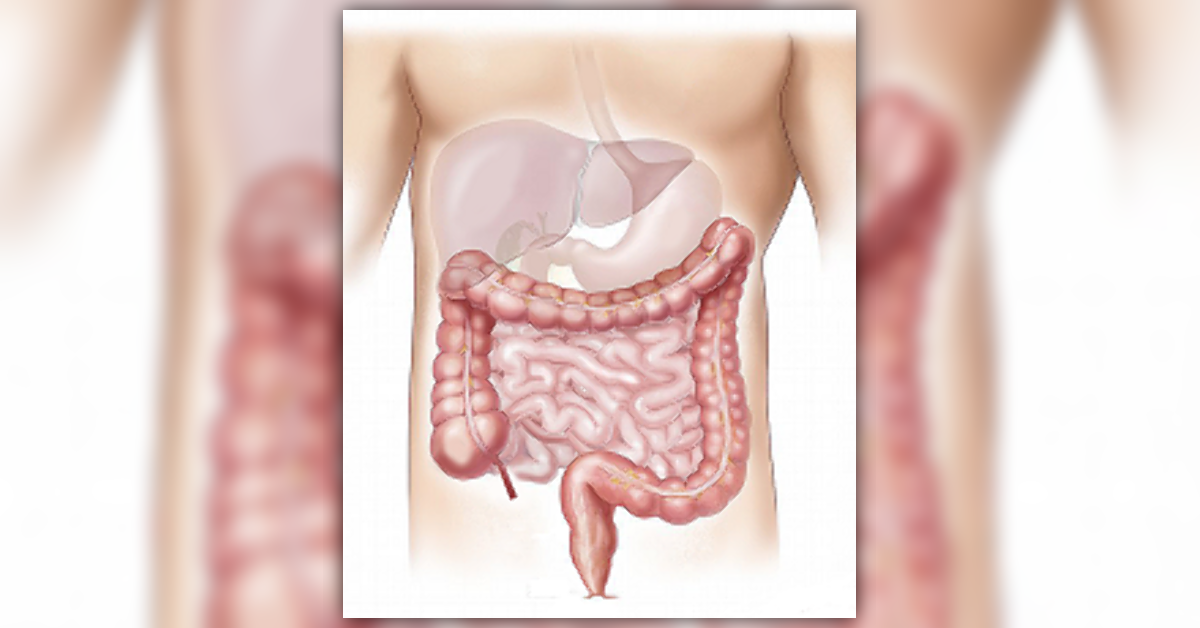 Conosci i messaggi del tuo intestino?