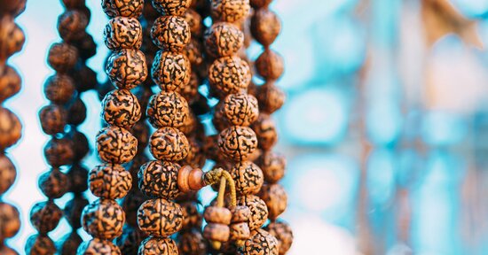 Conosci i semi di Rudraksha?