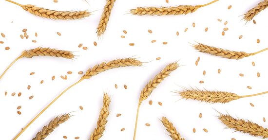 Conosci la segale? Scopri la ricetta per fare una pasta di segale fatta in casa!