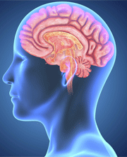 Cos’è la meningite?