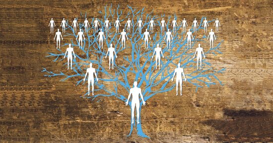 Costellazioni familiari: cosa sono e come funzionano?