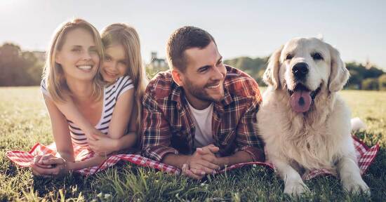 Costellazioni Sistemico Familiari con gli animali: perché farne una?