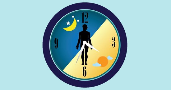 Cronobiologia e ritmo circadiano