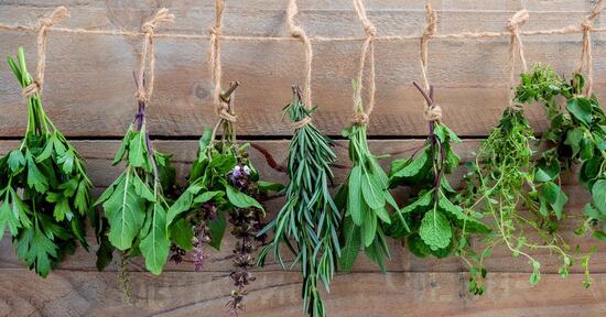 Crudo & Facile: Erbe aromatiche, aromi e nutrienti
